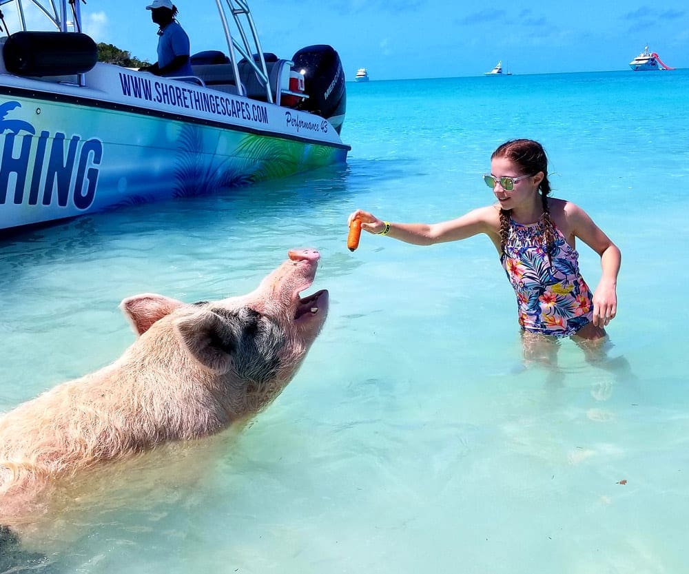 Girl feeding the pig in the ocean in Exuma
