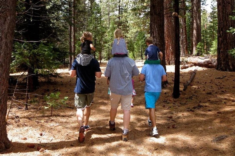 Three adults each carry a smile child on their shoulders while hiking amongst towering trees near Lake Tahoe.