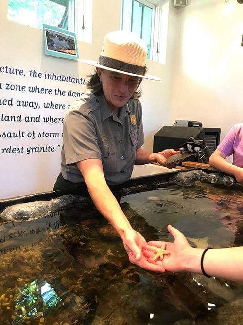 A park ranger holds out a startfish for a child to hold at the George B. Dorr Museum of Natural History, one of the best things to do in Bar Harbor with kids.