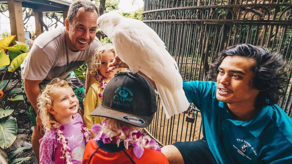 A staff member helps a family hold a tropical bird on the grounds of Hyatt Regency Maui Resort And Spa, one of the best hotels in Hawaii for a family vacation.
