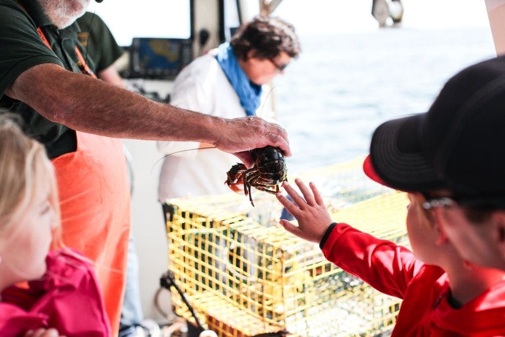 A lobsterman holds out a lobster while a young child reaches out to touch it during a lobster boat tour, one of the best things to do in Bar Harbor with kids.