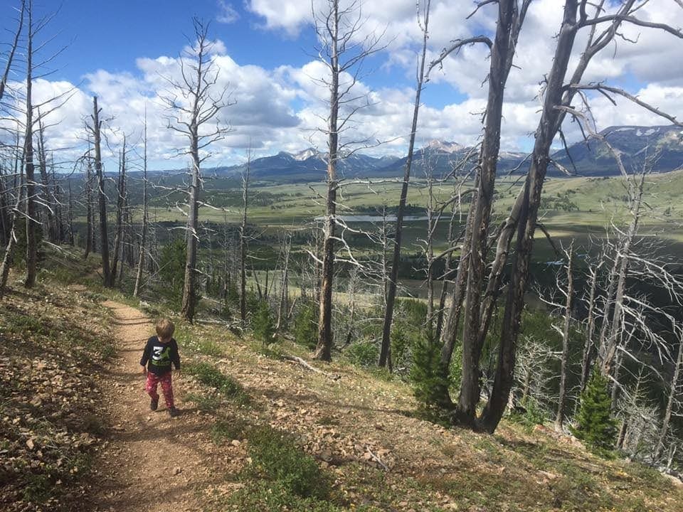 A young boy wanders a hiking trail in Yellowstone National Park.