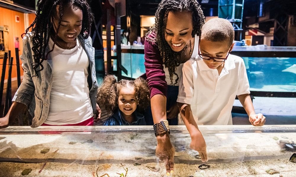 An African-American mom and her three young kids put their fingers in a touch tank at the Greater Cleveland Aquarium.