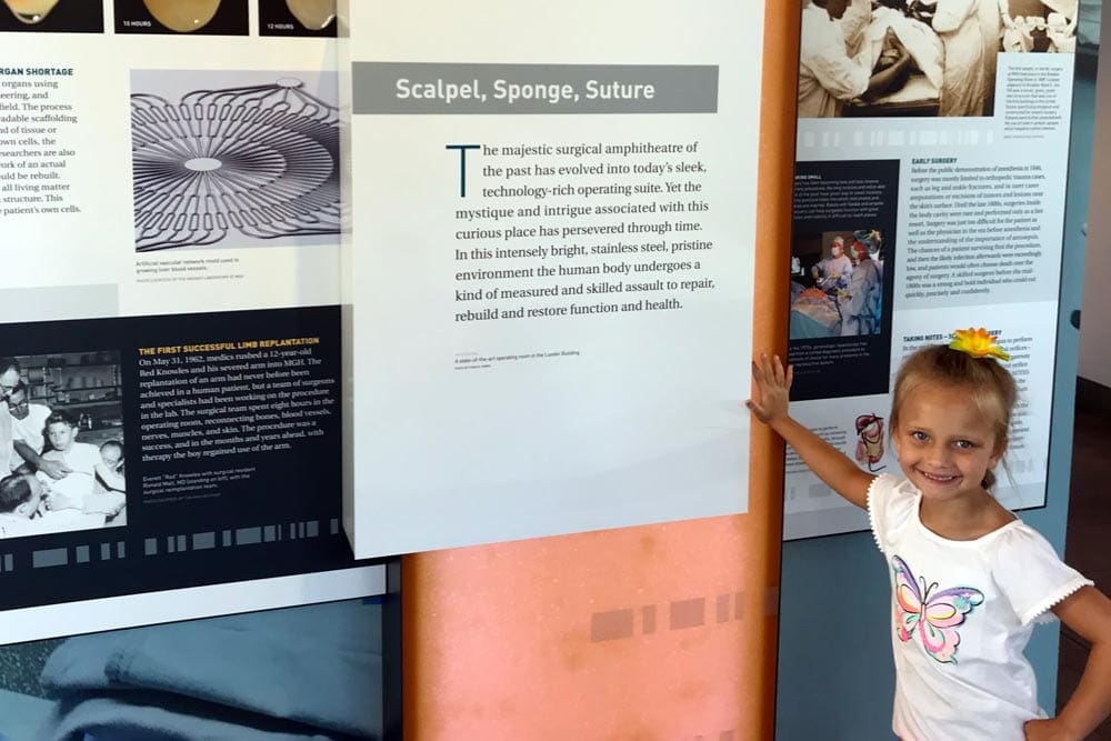 A young girl stands near an exhibit at the Harvard Museum of Natural History, one of the best things to do in Boston with kids.