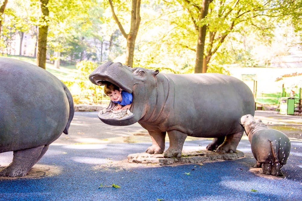 A young boy peeks his face outside of a hippo mouth while playing at a local NYC playground, one of the best New York City outdoor activities for kids.