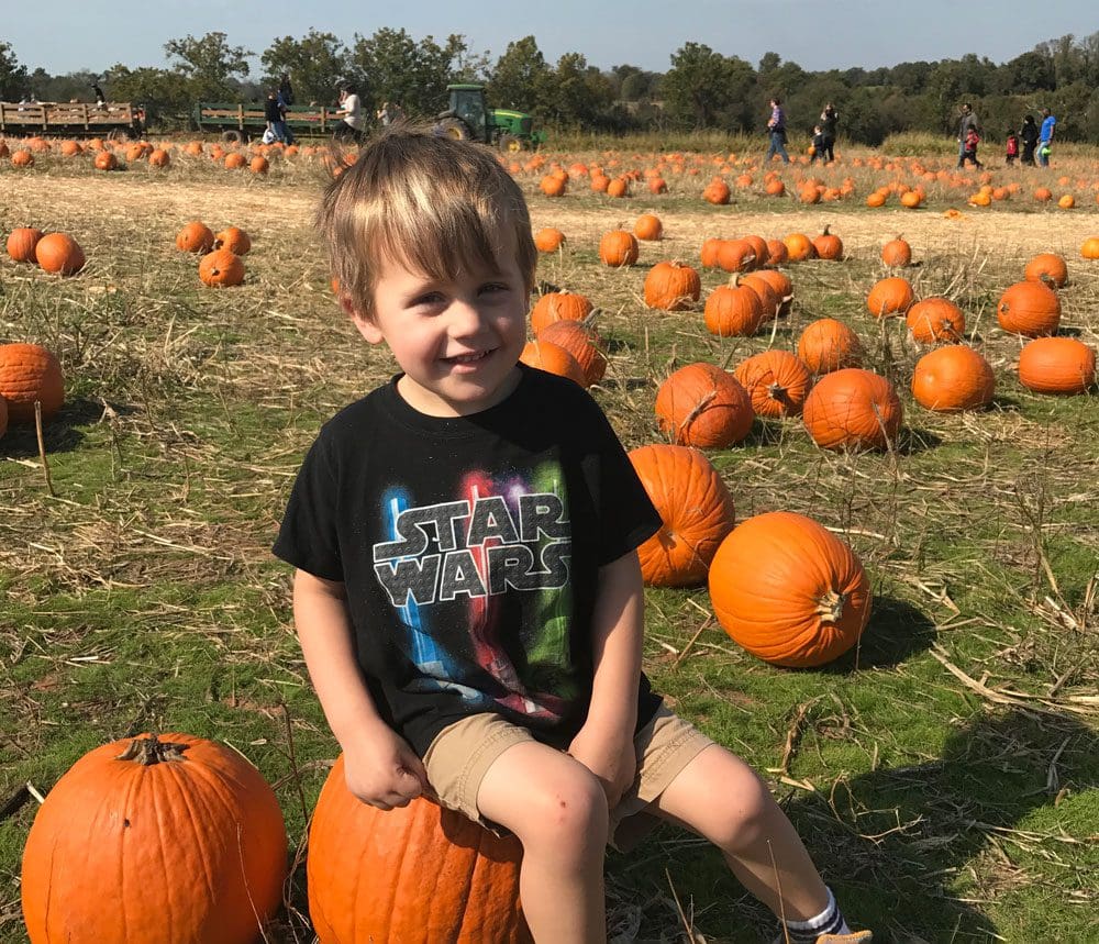 A little boy sits on a pumpkins with a field of pumpkins behind him at Homestead Farm, a great location for fall activities near Washington DC for families.