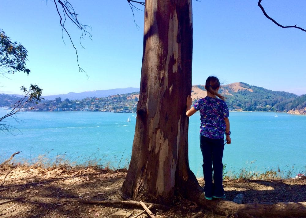 A young girl stands next to a tree on Angel Island while looking out onto the water.