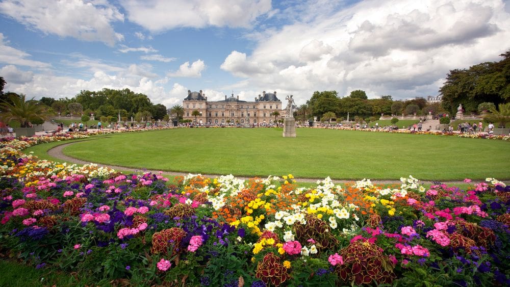 Lucious and colorful gardens surrounding a green area with large buildings in the distance at the Luxembourg Gardens.