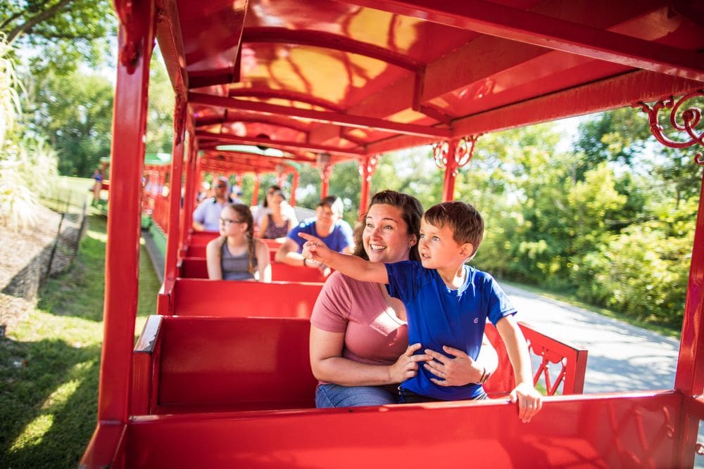 A mom and her son marvel with excitment at animals inside the iconic red tram at the Omaha's Henry Doorly Zoo and Aquarium, one of the best Midwest zoos for families.