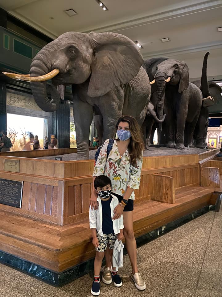 A mom and her son stand in front of an elephant on display at the American Museum of Natural History.