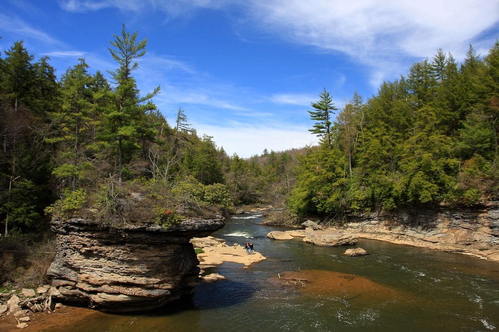 A view of the river that runs through Swallow Falls State Park, featuring lush greens and beautiful scenery.