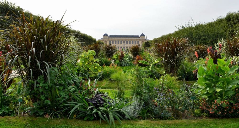 A lush garden with a historic building in the distance at the Jardin des Plantes.