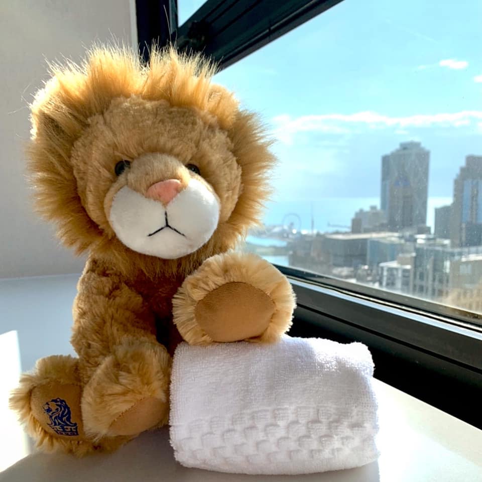 An adorable plush lion sits with a washcloth with a view of the Chicago skyline out the window behind it from the The Ritz-Carlton, Chicago.