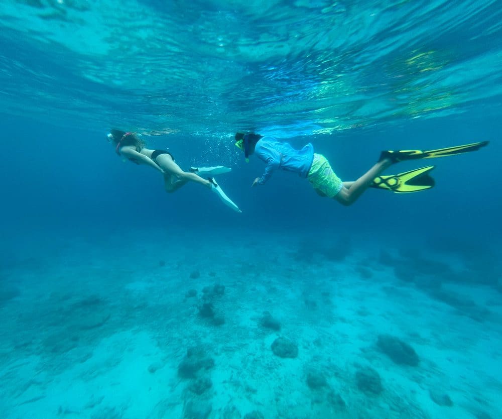 Two snorkelers under the water explore Curacao marine life.