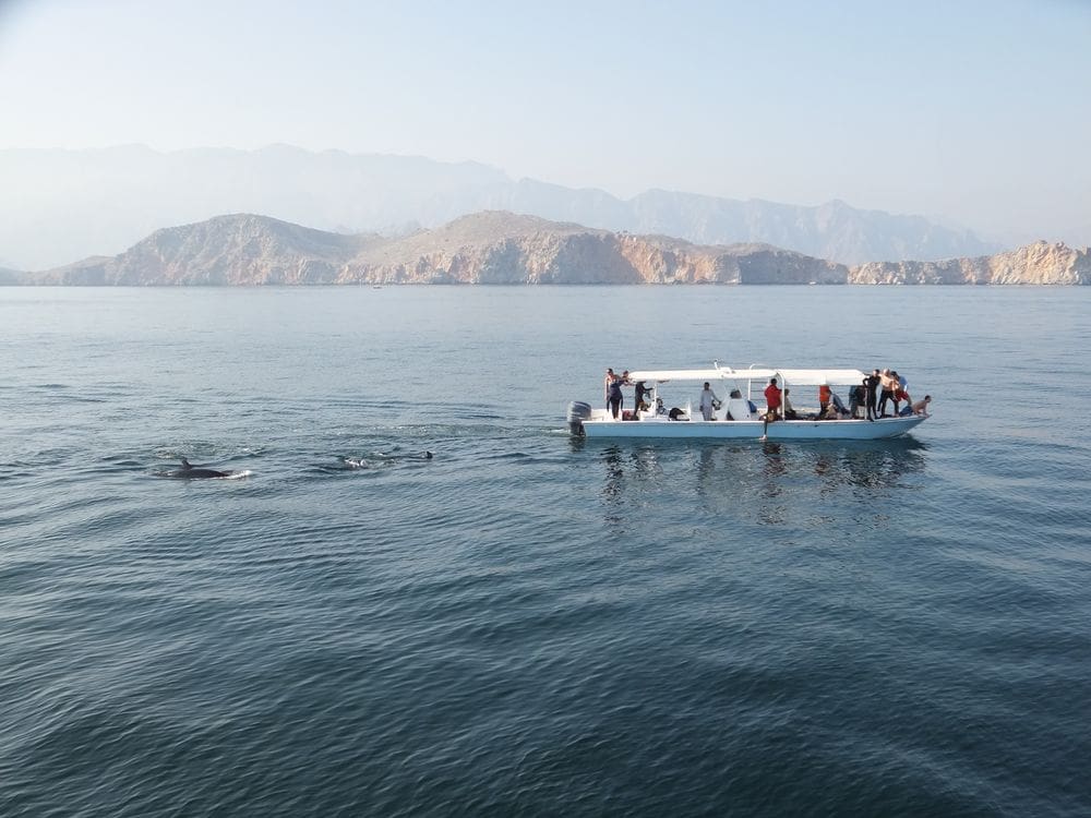 A boat carrying several passengers enjoys a dolphin sighting on a beautiful day in Oman, one of the best weekend getaways from Dubai for families.