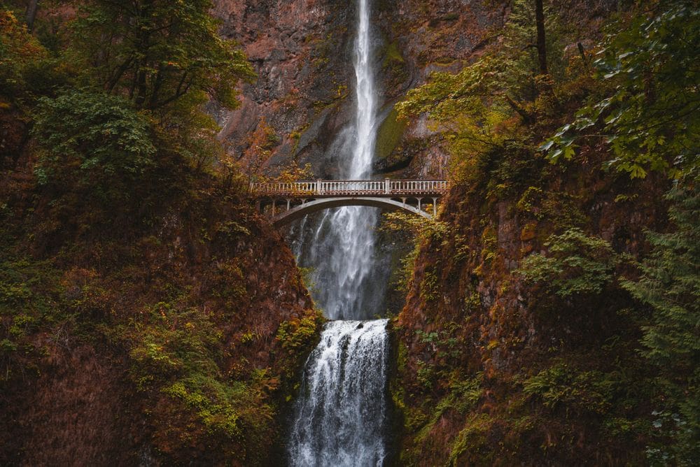 A close up of the bridge over Multnomah Falls, in Oregon, with fall foliage and colors on either side.