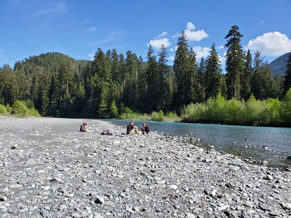 Three kids play on a rocky beach along a river, with tall pines in the distance, at Hoh Rainforest.