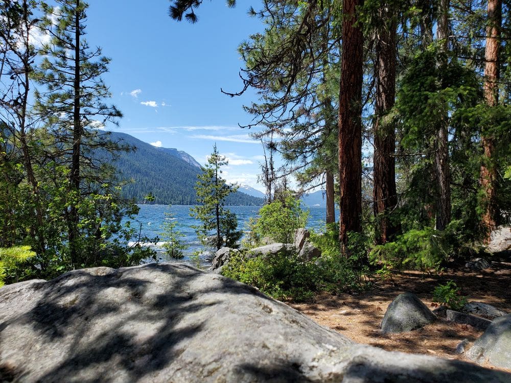 A scenic views through the pines, with a view of the lake, at Lake Wenatchee State Park, one of the best hikes near Seattle for families.