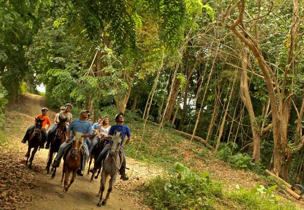 Several people enjoy a tour on horseback at the Carabalí Rainforest Park.