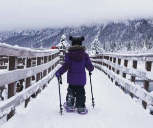 A young child in a purple coat hikes along a bridge near Anchorage, while wearing snowshoes and using hiking poles.