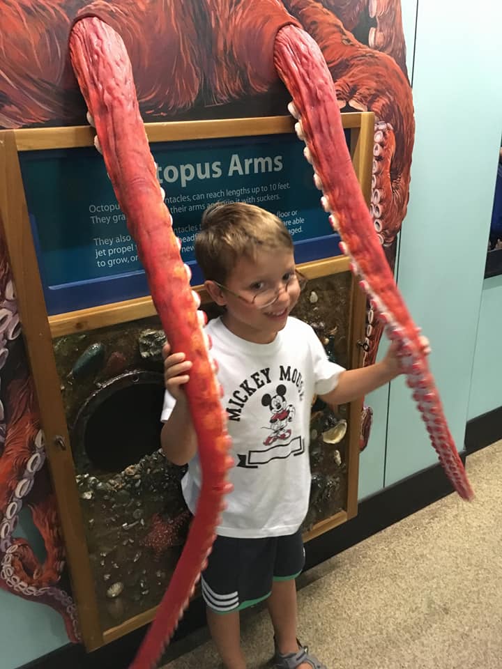 A young boy plays with tentacles at an interactive exhibit at the Dallas World Aquarium.