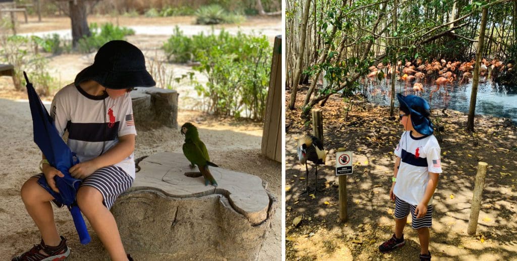 Left Image: A young boy looks at a bird while sitting inside the Aviary in Cartagena. Right Image: A young boy explore the Aviary, one of the best things to do on this Cartagena itinerary for families.