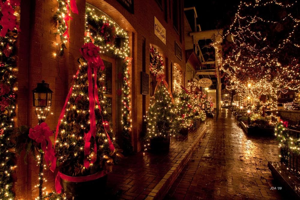 Looking down a cobbled street in Dahlonega, featuring several festive trees and lights at night.