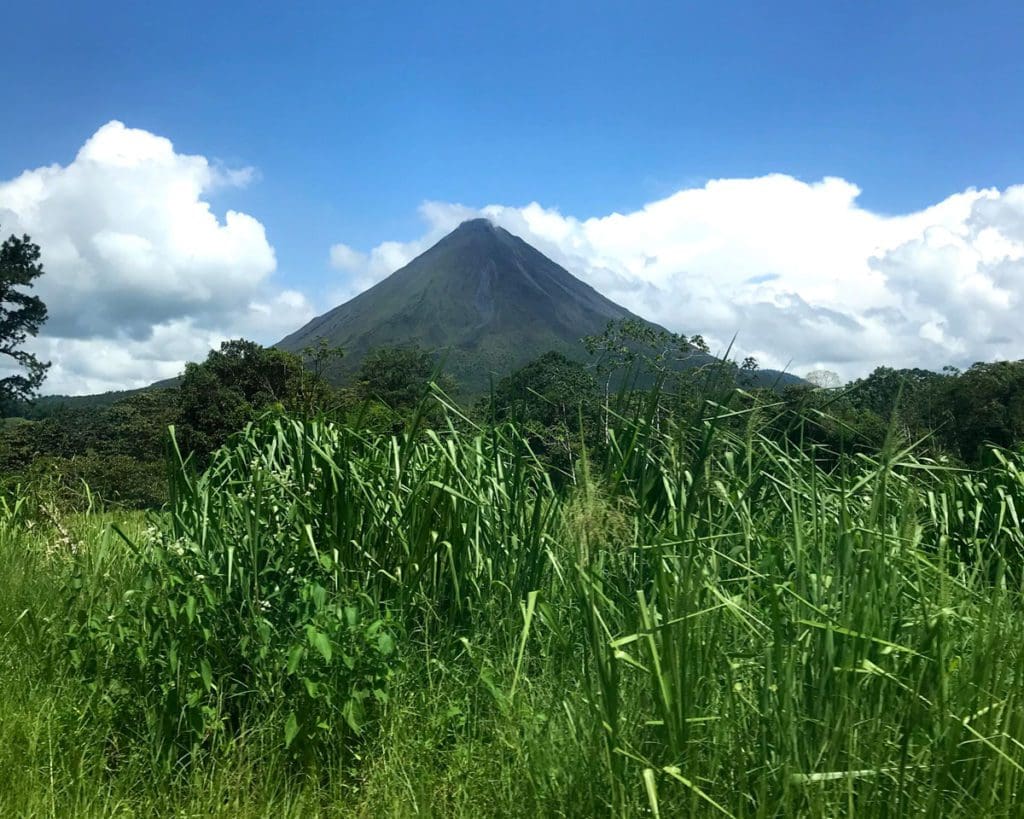 A view of the Arenal Volcano through long grass.