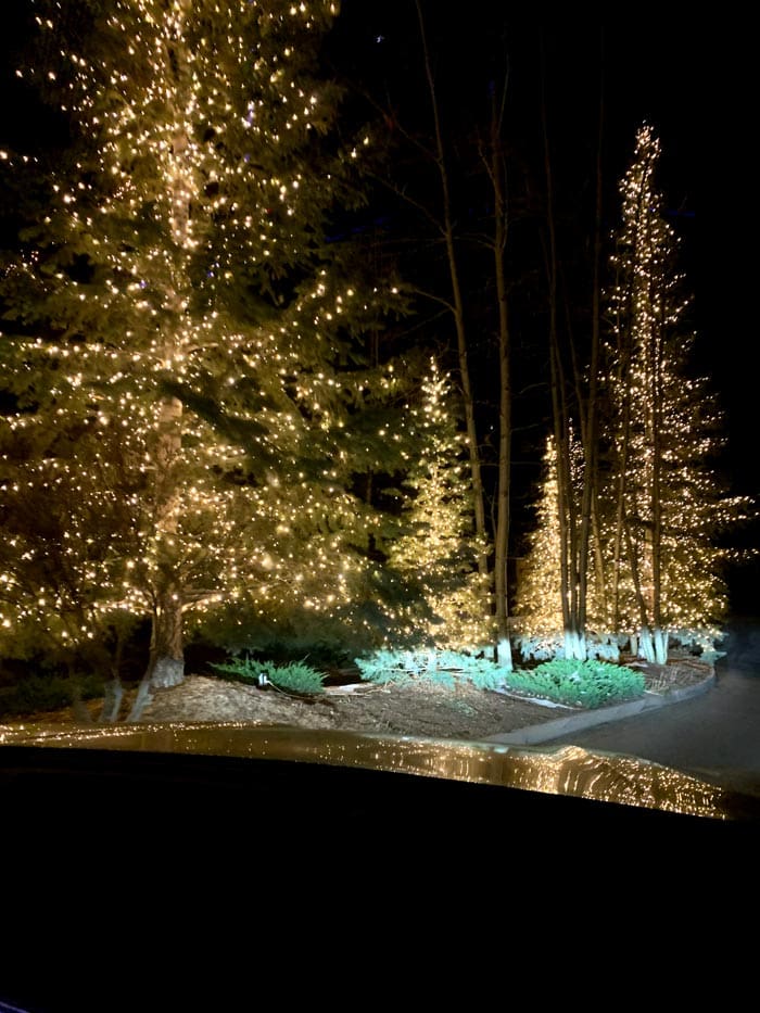 A series of wintery trees at The Ritz-Carlton, Bachelor Gulch.