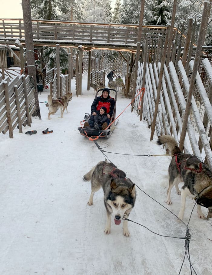 A dad and his young son ride on a sled pulled by huskies in Findland.