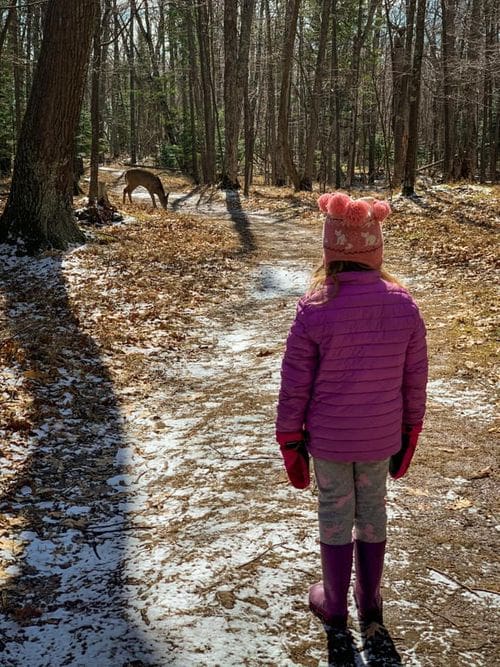 A young girl looks at a deer she sees while hiking at Presque Isle Loop, one of the best Upper Peninsula Michigan hikes for families.