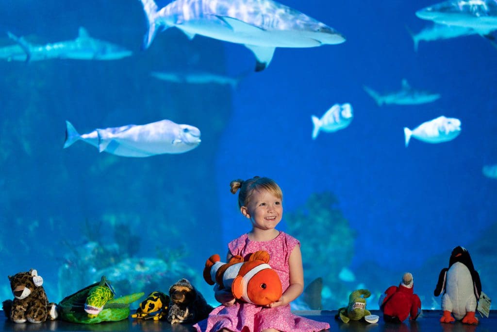 A young girl holds a plush fish with an expansive aquarium behind her at The Loveland Living Planet Aquarium, one of the best things to do when visiting Deer Valley with kids.