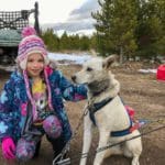 A young girl in winter gear kneels next to a white sled dog.