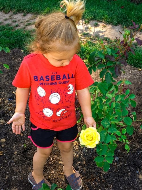 A young girl touches a yellow rose.