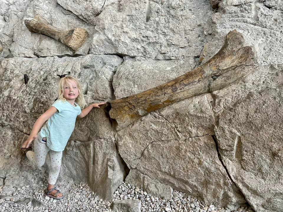 A young girl stands next to a huge dinosaur fossil embedded in a rock wall at the Dinosaur National Monument in Utah.