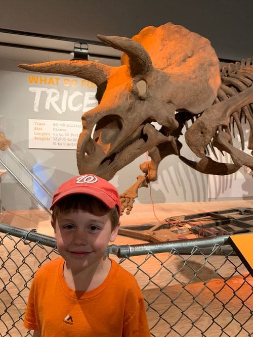 A young boy wearing a baseball cap stands in front of a Triceratops skeleton at the Smithsonian National Museum of Natural History.