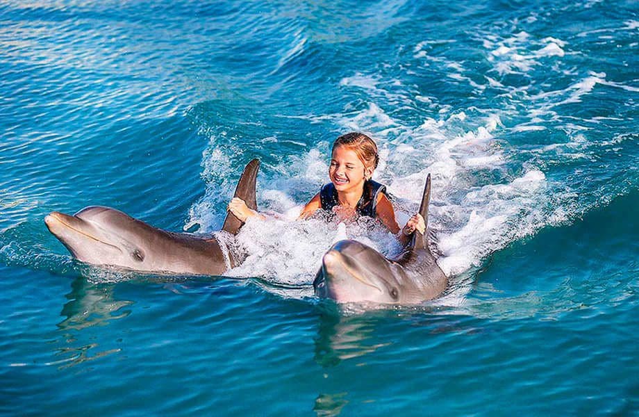 A young girl swims with two dolphins at Moon Palace Jamaica.