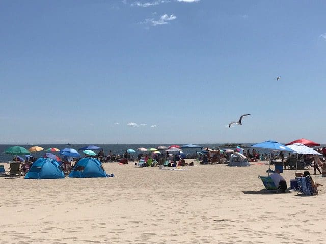Several tents and sun umbrellas set up across Ocean Beach on a sunny day.
