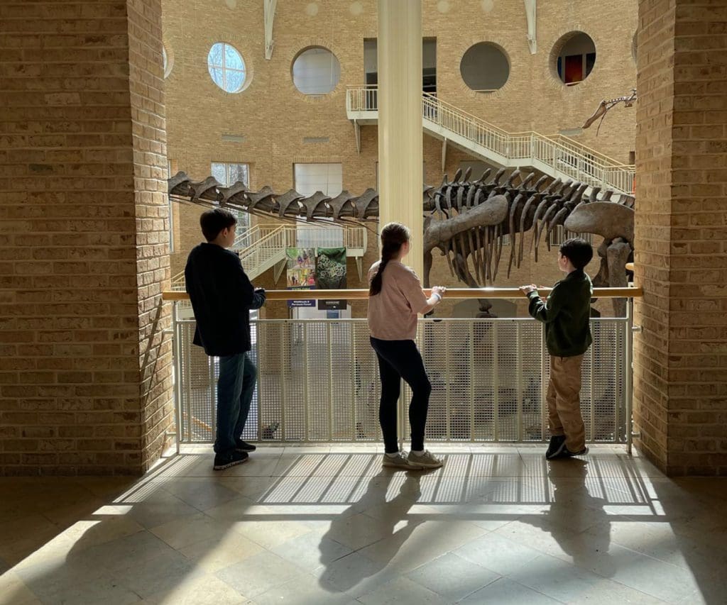 Three kids stand looking over the railing on the upper level of the Fernbank Natural History Museum at several dinosaur skeletons.