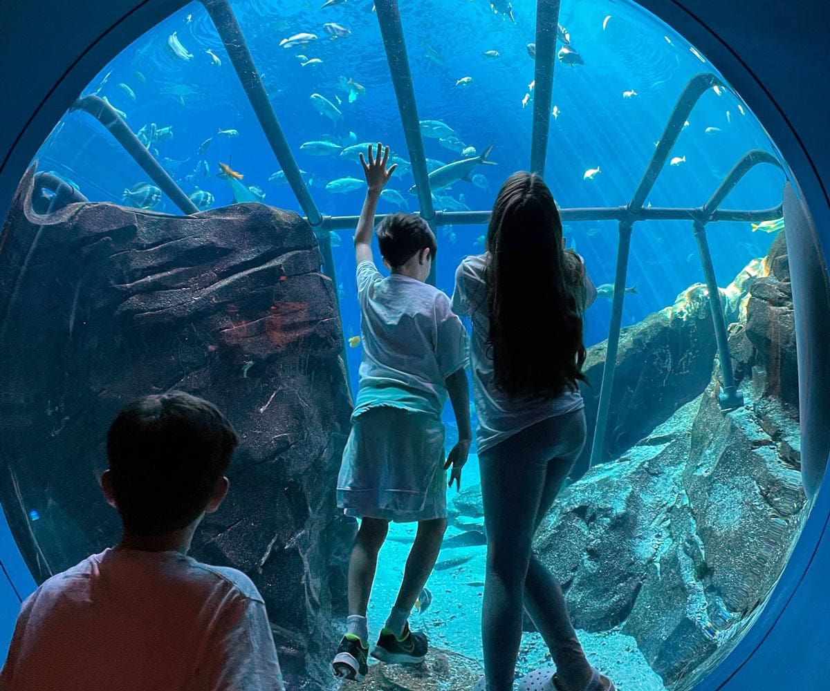 Three kids look into an aquarium tank at the Georgia Aquarium, with many fish swimming by.