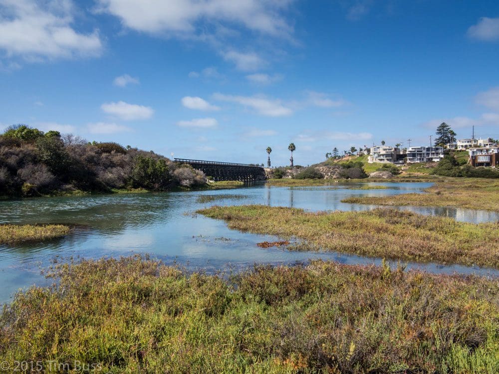 A view of the lagoon and surrounding greenery at San Elijo Lagoon Ecological Reserve.