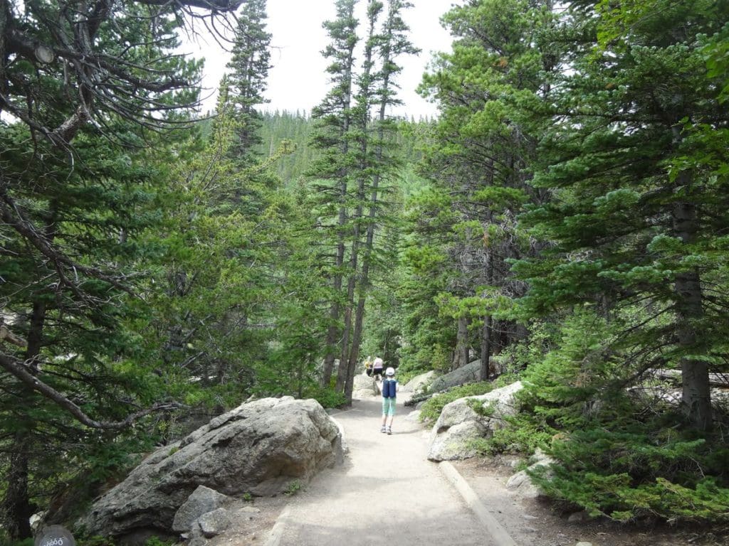 A young boy runs along a gravel trail in Rocky Mountain National Park, with large pines flanking both sides of the trail.