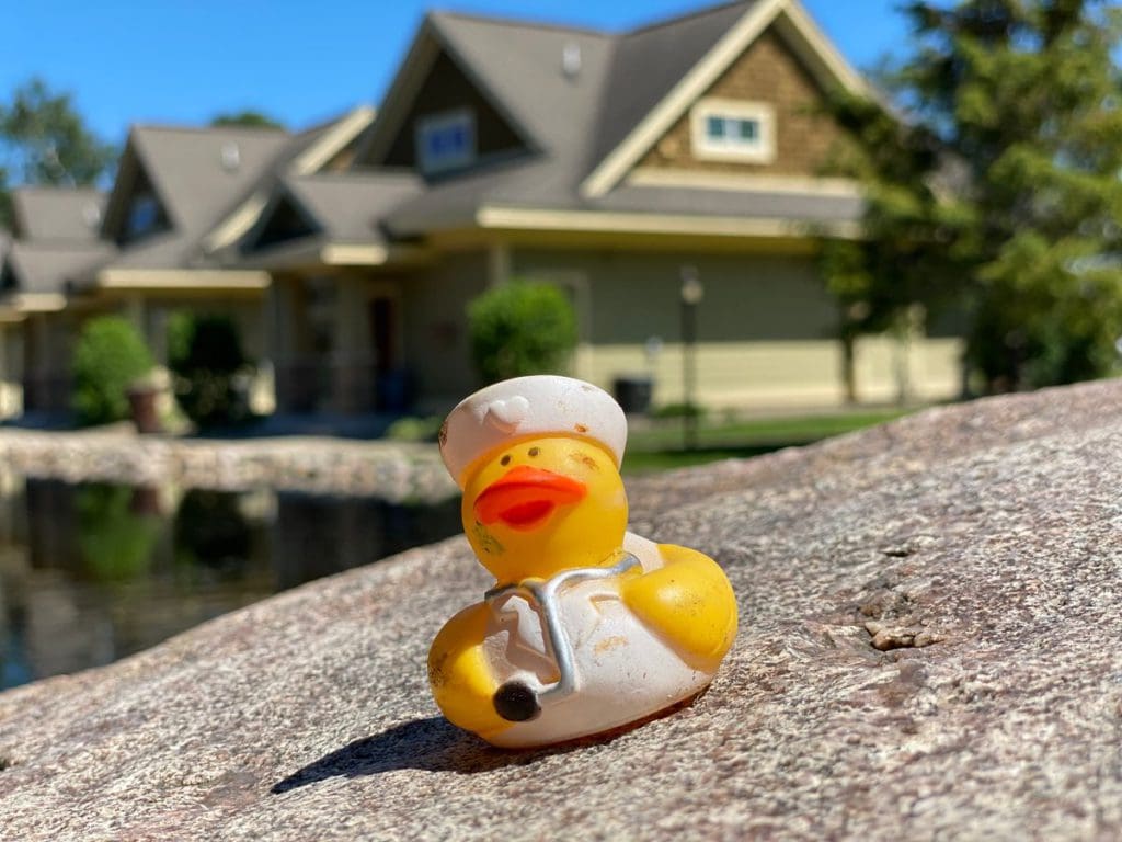 A little rubber ducky sits on a rock with Kavanaugh’s Sylvan Lake Resort buildings in the distance.