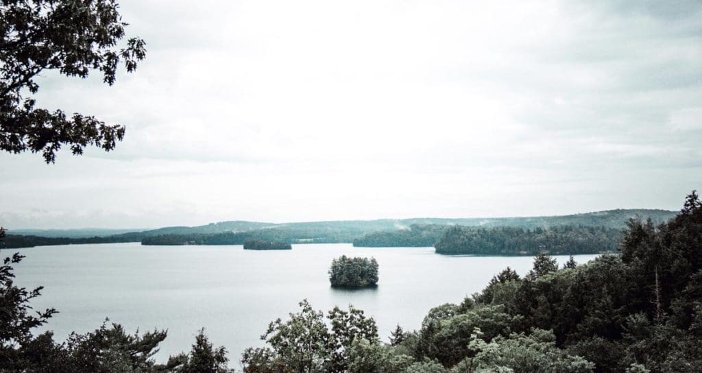 A view of large lake surrounded by tree-lined shores at Muskokas, one of the best vacation destinations for families In Canada.
