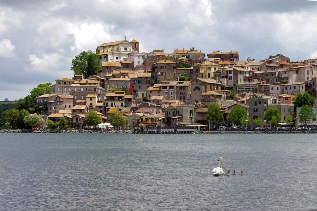 A mama swan and two babies swim in Lake Bracciano, with the city nestled along the far shore, an optional stop on our Rome itinerary with kids.