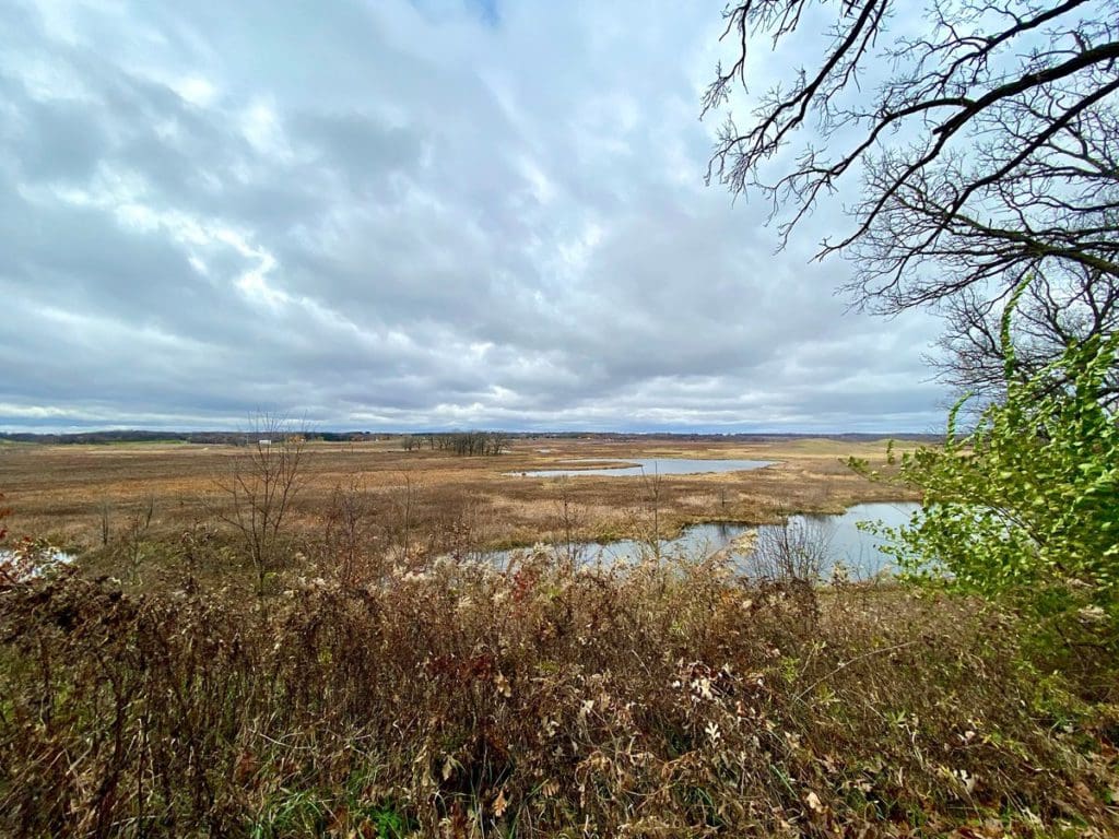A view of the small lake, through the reeds, at Hackmatack National Wildlife Refuge.