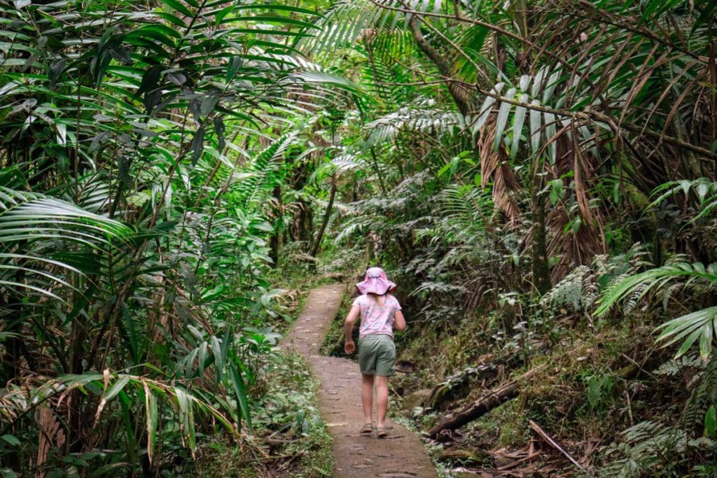 A young girl treks along a path, flanked by lush tropical foliage on both sides, in El Yunque National Forest, a must stop on any Puerto Rico itinerary for families.