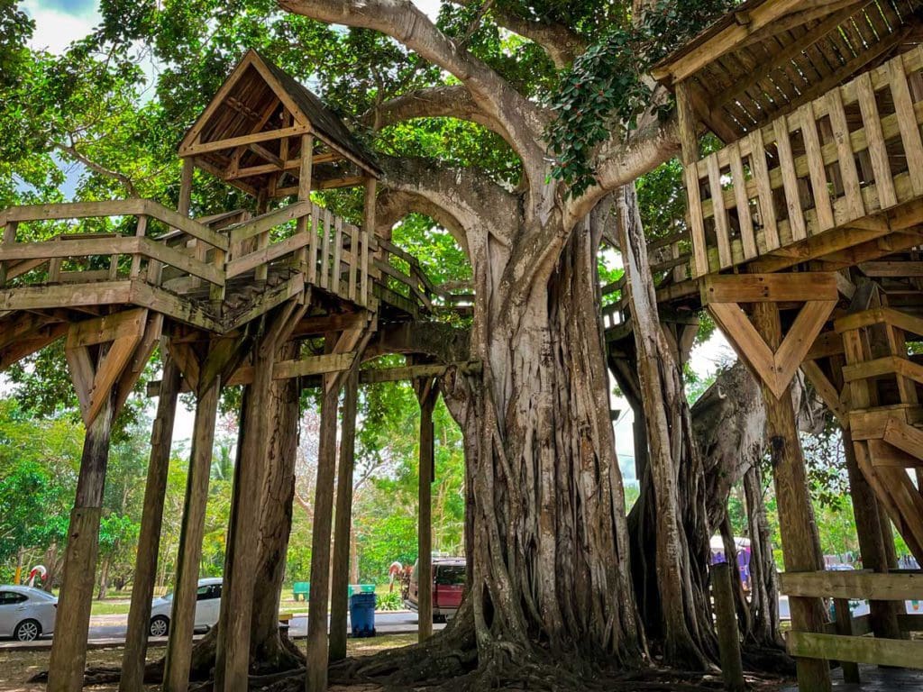 The large treehouse in the park at Colon Beach, a must stop on any Puerto Rico itinerary for families.