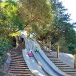 Two kids slide down a tandem slide in Golden Gate Park.
