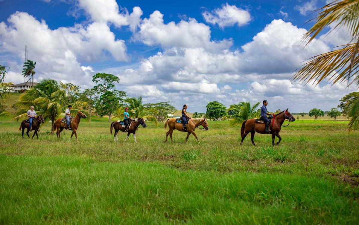 Five people on horseback move along a grassy area while taking a tour through Chan Chich Lodge.